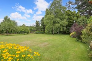 Garden- click for photo gallery